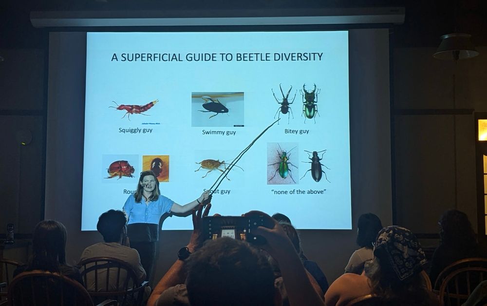 A photo of a blonde lady holding a long stick and gesticulating towards a projected slide of general beetle categories. These include “squiggly guy,” “swimmy guy,” and “bitey guy”