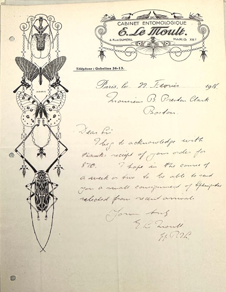 Custom stationery of a Parisian insect dealer, exquisitely decorated with Aubrey Beardsley style insect illustrations
