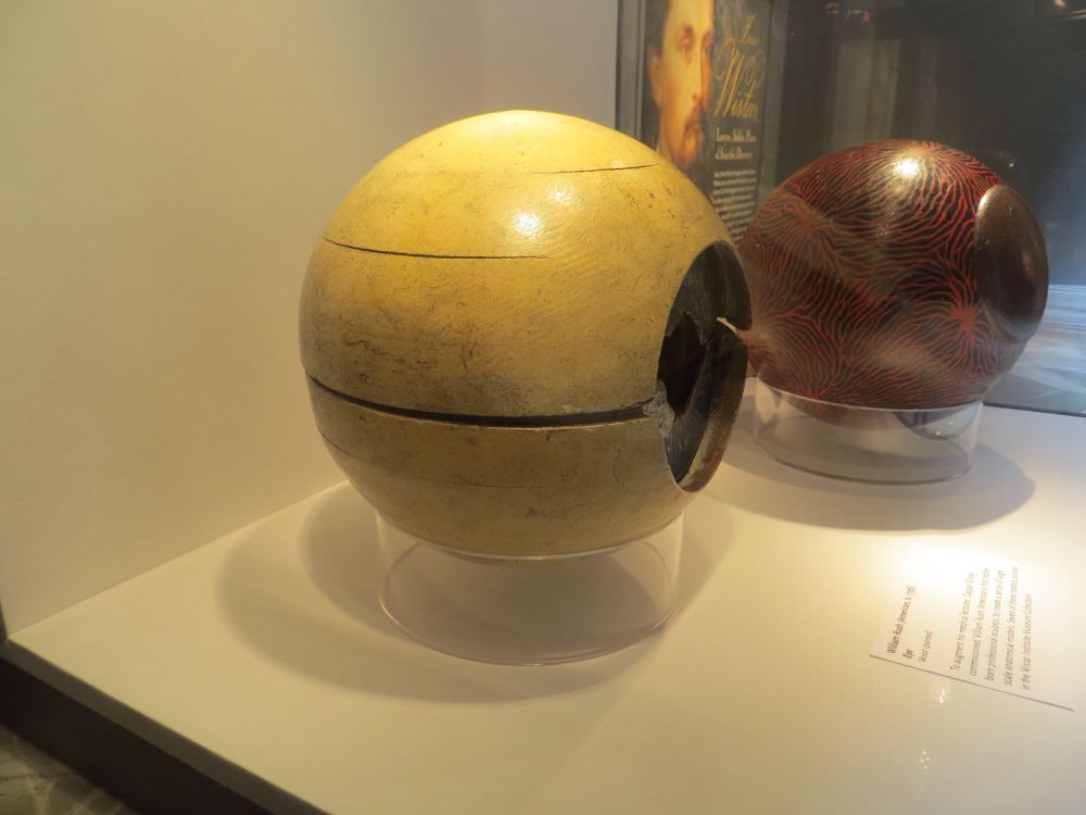 Model van een menselijk oog, papier maché, glas en metaal. Gemaakt in opdracht van Caspar Wistar, VS, vroege 19e eeuw. 