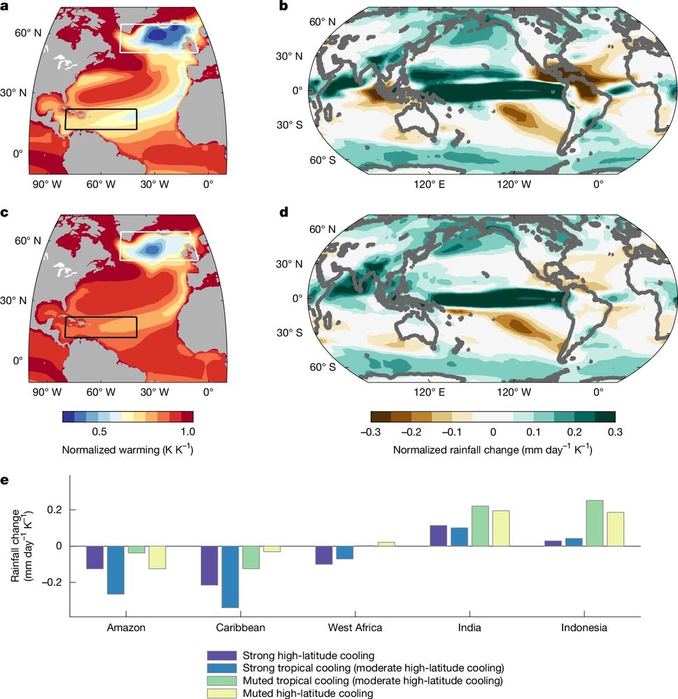 a–e, Twenty-first century projections according to models with strong cooling over the tropical North Atlantic (a,b) compared with the models with cooling restricted to the high latitudes (c,d). e, Rainfall response averaged over key regions in which the tropical cooling pattern produces drying or a more muted rainfall increase. The high-emission projections used in the analysis were obtained from phases 3, 5 and 6 of the CMIP as described in the Methods. The strong and muted tropical cooling responses are based on the magnitude of sea-surface temperature change over the tropical North Atlantic (80° W–40° W 12° N–22° N) relative to the surface temperature change over the tropics (30° S–30° N). The strong and muted high-latitude cooling responses are isolated based on the magnitude of sea-surface temperature change over the North Atlantic (60° W–0° 50° N–65° N) relative to the surface temperature change over the Northern Hemisphere (0°–90° N). Surface temperature and rainfall changes are computed for each individual model as the linear trend from 2021 to 2100, normalized by the magnitude of tropical mean surface warming over the same interval, and then composited based on the North Atlantic cooling responses described above.