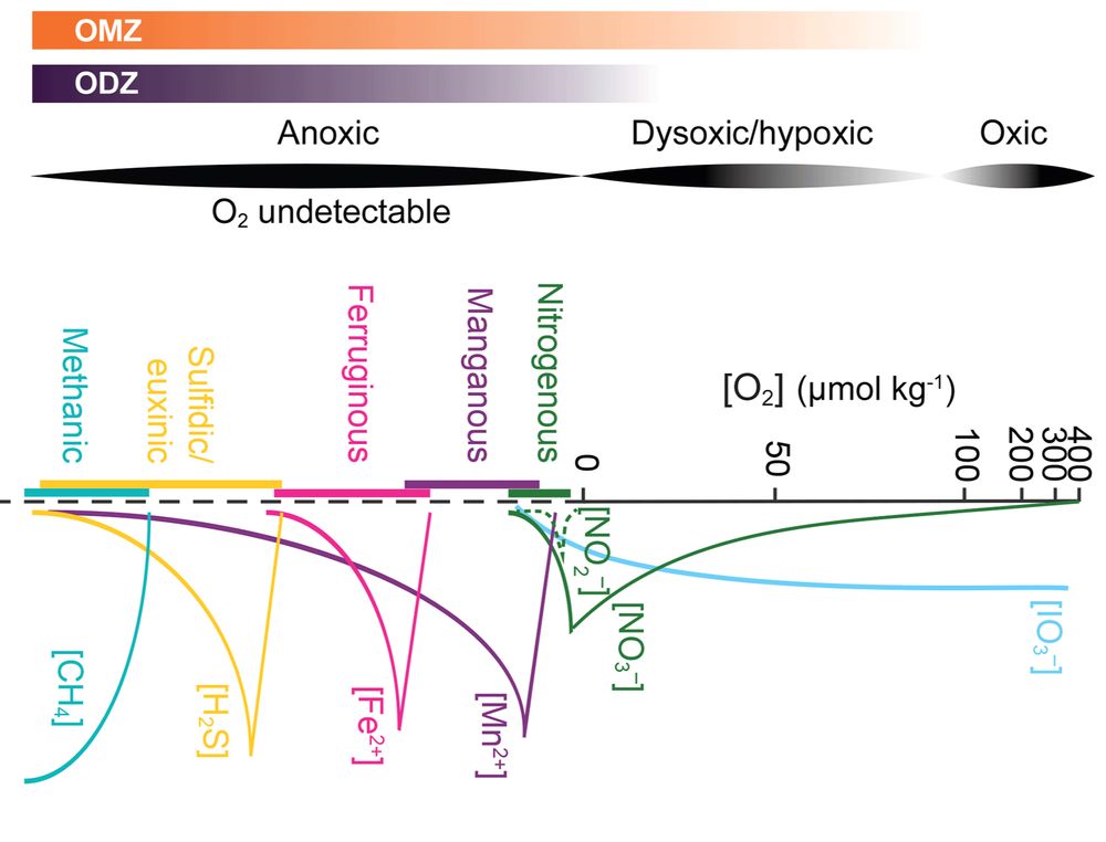 Overview of oxygen “stage” nomenclature used in this review. From top to bottom shows the ranges most often associated with the descriptive terms OMZ, oxygen-deficient zone (ODZ), anoxia, dysoxia/hypoxia, and anoxia in seawater. Oxygen concentrations are shown on a log-linear scale along with a simplified schematic of several proxy-relevant components of other redox-sensitive reactions. Chemical concentrations other than oxygen are non-dimensional, but all relate to scales. The redox ladder is modified from Canfield and Thamdrup (2009). 