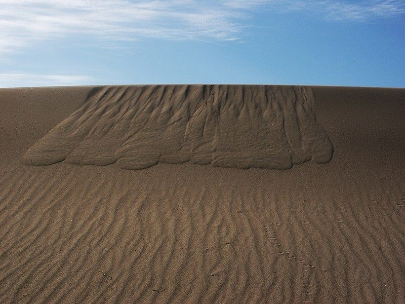 Dune Avalanche, which is a something the paper notes as required for the phenomenon (Photo Credit : Rygel, M.C./Wikimedia Commons)