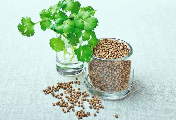 Coriander leaves and seeds, hating them is apparently the worst mutant power.