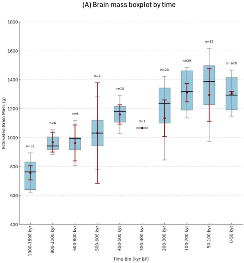 Temporal trends in brain mass across the genus Homo. (A) Boxplots of absolute brain mass across time suggest an increase from Early to Middle Pleistocene populations. Plot supports a transition from directional to stabilizing selection in brain size among Homo populations over time. Grey error bars represent standard deviations; red error bars represent 95% confidence intervals; red dots and solid black lines denote mean and median brain size, respectively.