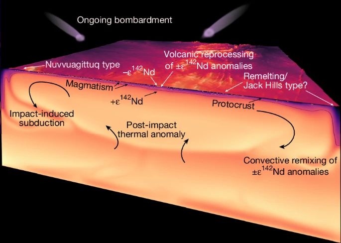 The diagram is based on a model presented in a previous paper and has been completely replotted. The surface is from a 30-m SRTM (Shuttle Radar Topography Mission) digital elevation dataset, which has been plotted using the QGIS program. The digital elevation model data were sourced from the Geoscience Australia online data repository (ga.gov.au). The figure has been annotated to highlight processes and tectonic settings discussed in the paper. The colour slice is a thermal field from a convection model with impacts and volcanic transport and the surface is an Eoarchaean–Palaeoarchaean terrane (digital elevation model, East Pilbara terrane), shown for illustrative purposes only. Major surface disruption and subduction is induced by impact heating return flow. Mantle upwelling and background melting lead to extensive magmatism in the crust, including re-processing of fractionated ±ε142Nd reservoirs, where the anomaly ε 142Nd is derived from the measured 142Nd/144Nd ratio normalized to a notional bulk Earth ratio.