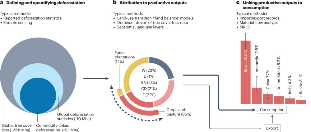 Overview of the construction of deforestation footprints - 