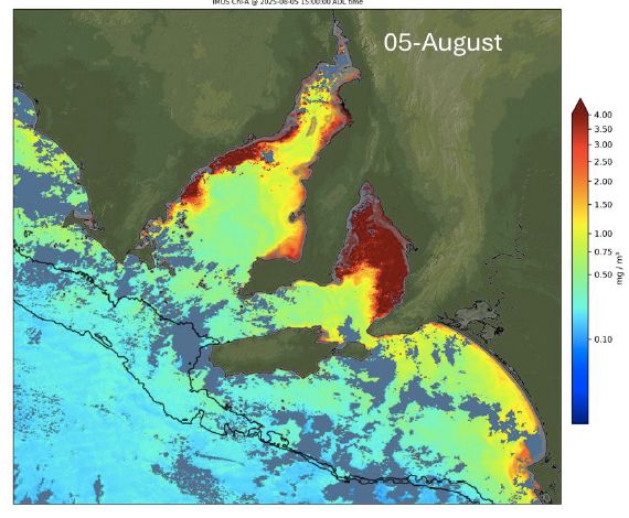 Map of algal bloom in South Aussie showing the extent as of Aug 5 2o25. Huge swathes of ocean are toxic. 