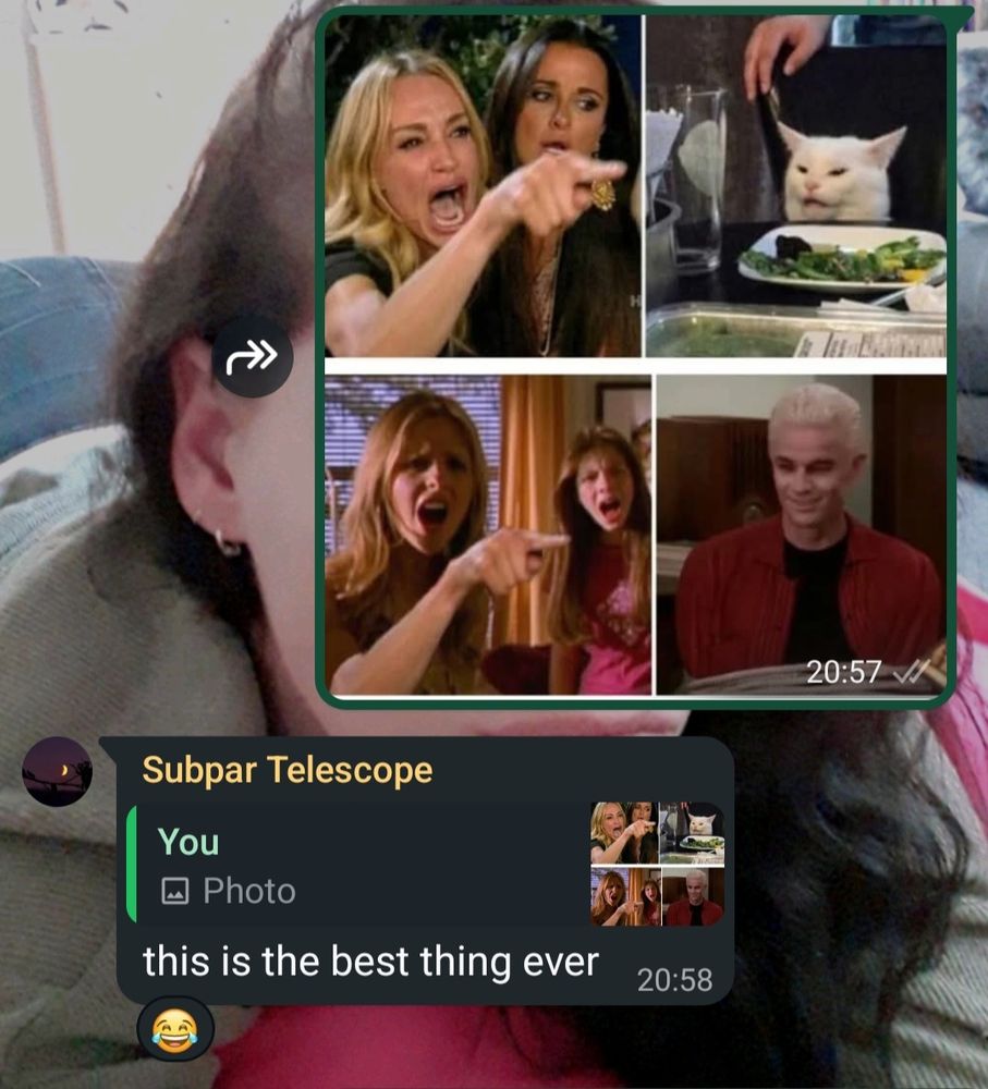 A snippet from a WhatsApp conversation with myself and my step-kid, named Subpar Telescope in my phone. It shows the complaining lady pointing out of frame, with a woman stood to her side, she is pointing at a very smug looking white cat with a plate of salad in front of it. Below it in a similar composition is a scene from Bugfy the Vampire slayer where Buffy is in the same position as the woman pointing with Dawn stood next to her, as she points out of frame, and then with the same smug look, Spike the vampire who is tied up is giving a similar smug look as the cat. My stepkid has quoted the post saying 'THIS IS THE BEST THING EVER' to which I have laugh reacted. 