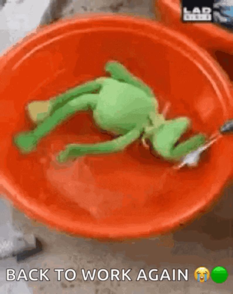 a green stuffed frog is laying in a red bowl with the words back to work again below it