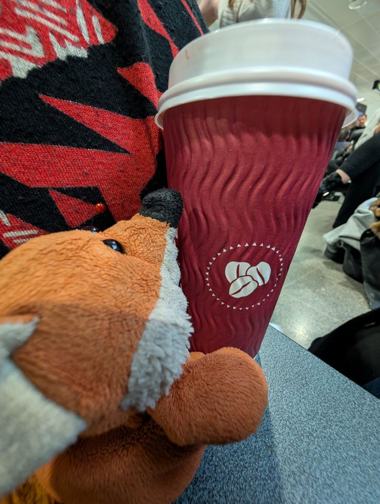 Photo of a small fox plush looking at a large coffee cup from Costa. The fox plush has its back to the camera, and it is looking up at the lid of the cup