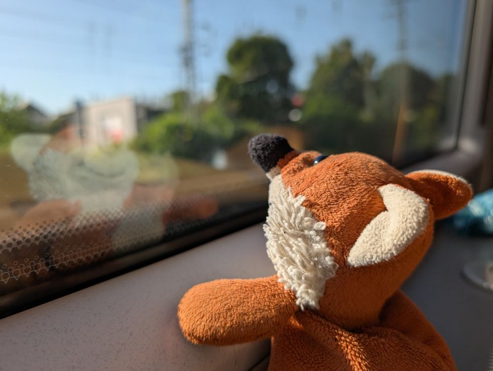 A photo of a small orange fox plush looking out a train window. There is a slight reflection of the fox plush. The background scenery is blurred but consists of train lines and trees