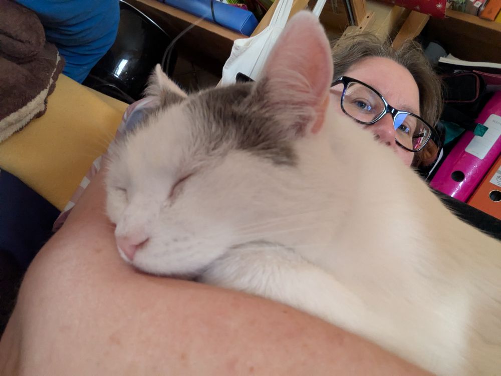 Eine weiße Katze mit grauen Flecken vor den Ohren liegt in meine Armbeuge gekuschelt und schläft. Ich gucke im Hintergrund in die Kamera. Man sieht aber nur die obere Hälfte meines Gesichts, also Nase, Brille, Augen, Zottelhaare.
Im Hintergrund Durcheinander aus Decken und verschiedenen Regalinhalten.