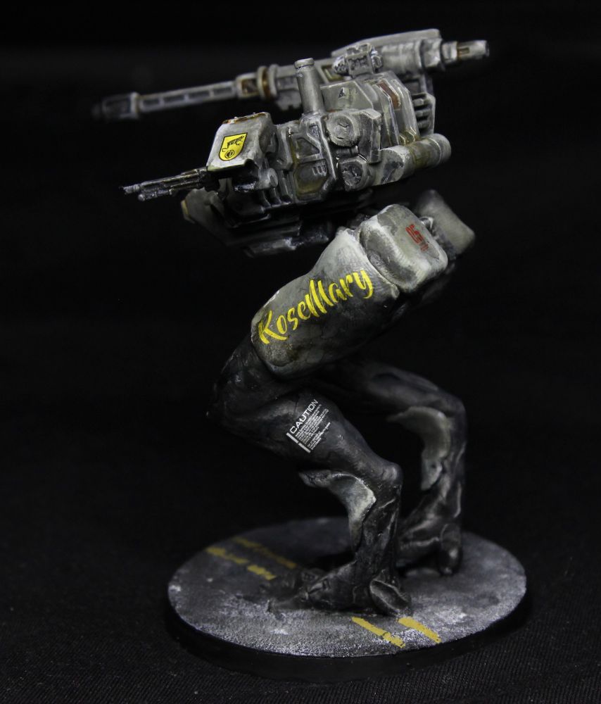 View from the left.
The other thigh has a large yellow decal saying "Rosemary" in a hand-written font.