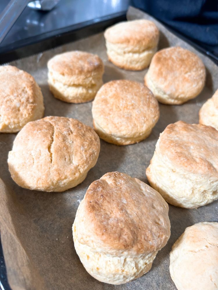 手作りスコーン