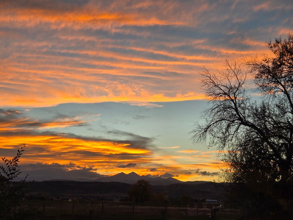 A line of wispy orange clouds over a mountain range. The outline of a Russian Olive tree on the right 
