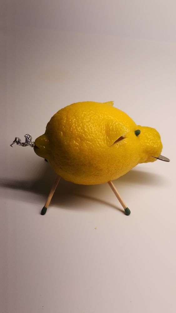 Lemon Pig 