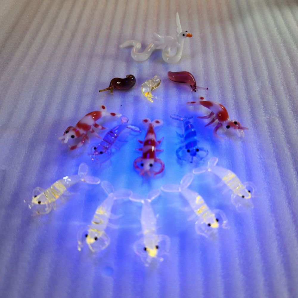 Borosilicate glass animals, this time under a black light, with the light yellow ones glowing due to uranium content, from top to bottom:
Snuck
Three slugs
5 shrimp of varying colors
5 shrimp in light yellow
