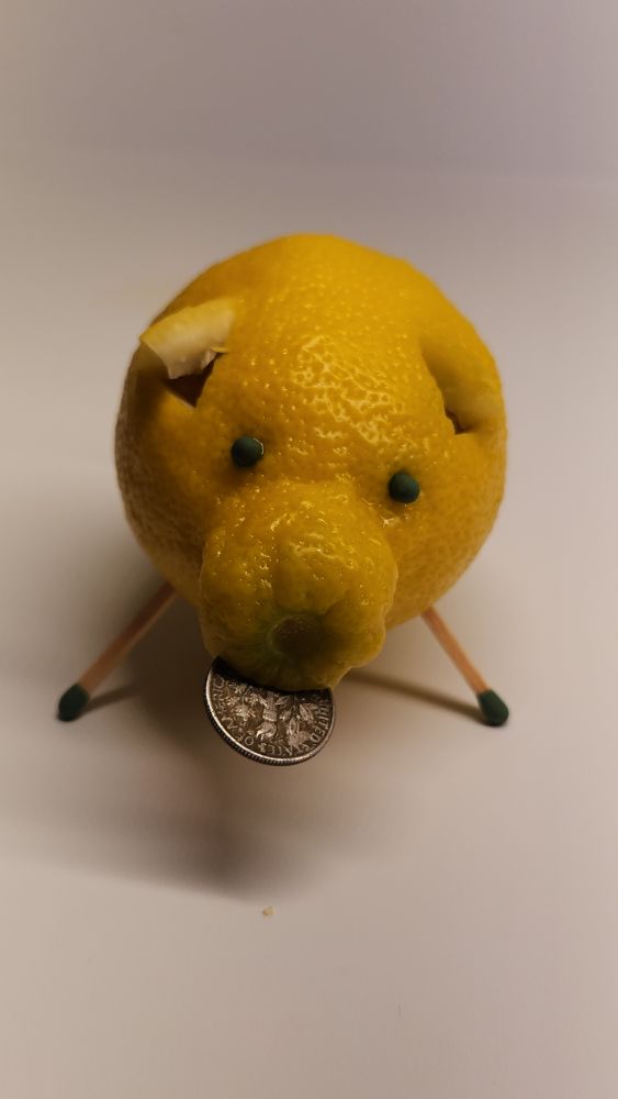 Lemon Pig 