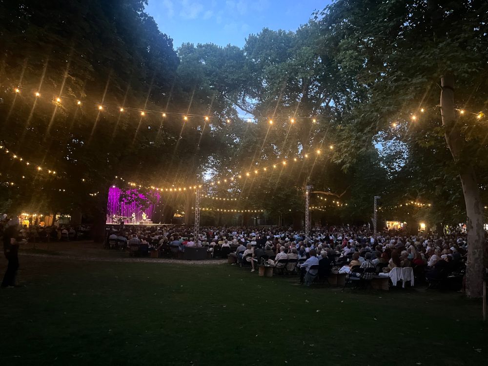 Foto eines Open-air-Auftritts von Konstantin Wecker im ‚Theater im Park‘ in Wien