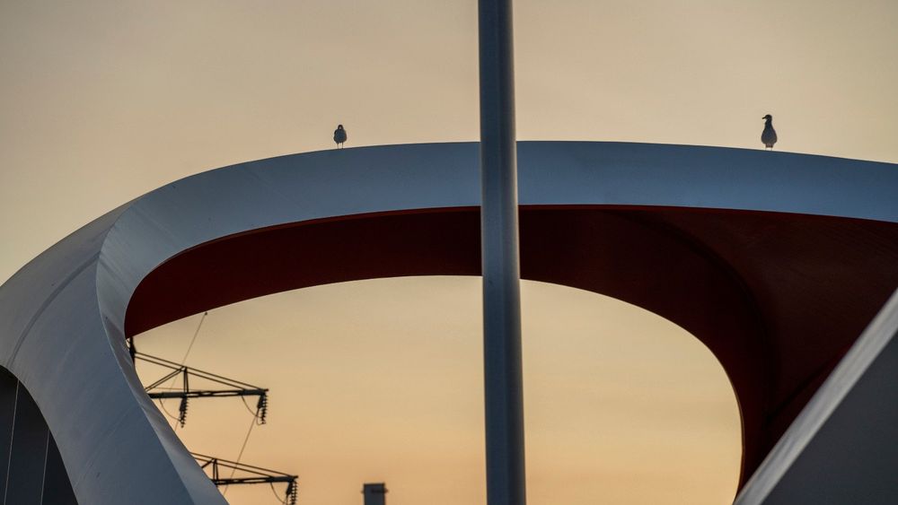 Two birds perched on the fluid curves of a modern bridge with a muted sunset sky in the background.