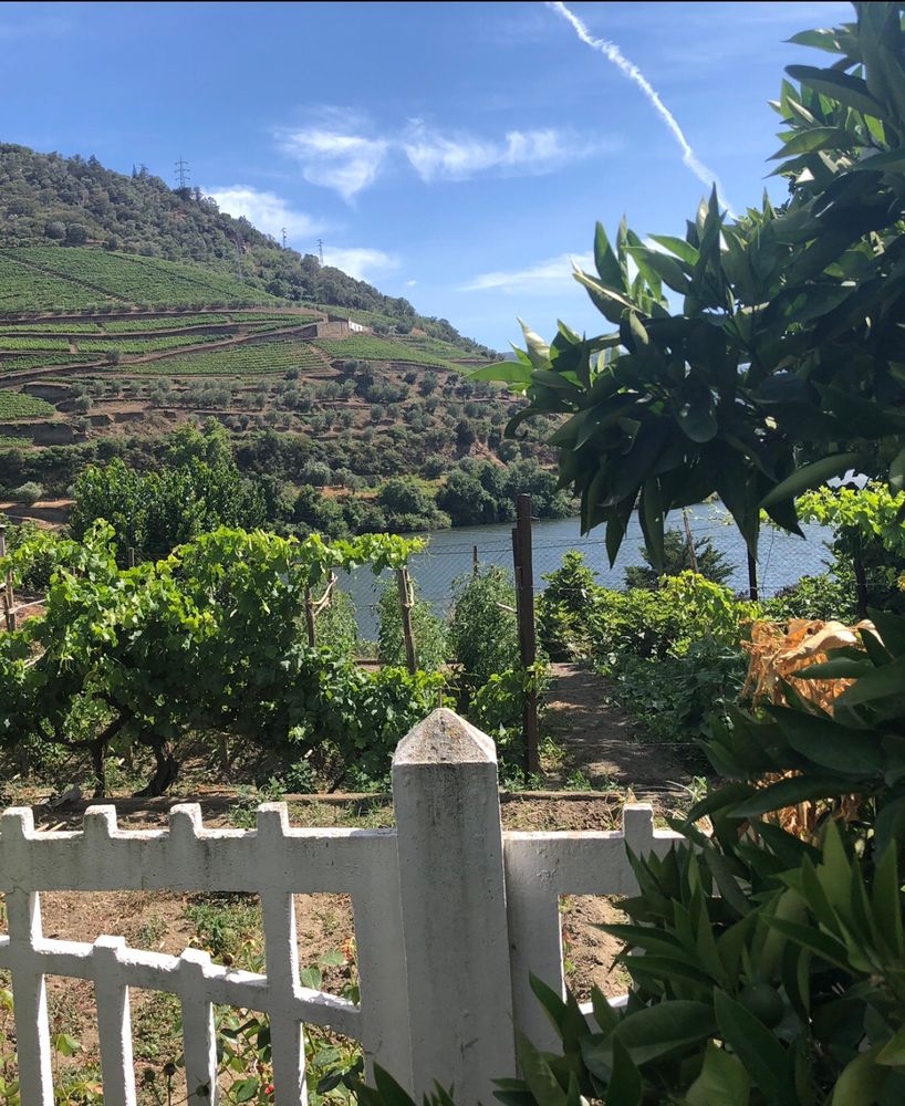 Vallée du Douro, Portugal.