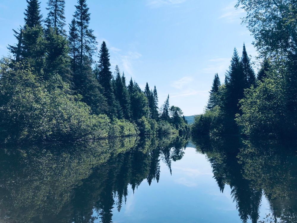 Marais du Nord