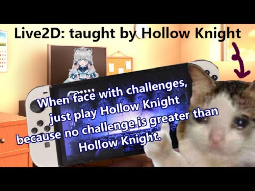 【CAT MEMES】How I Learnt Live2D (with Hollow Knight??)