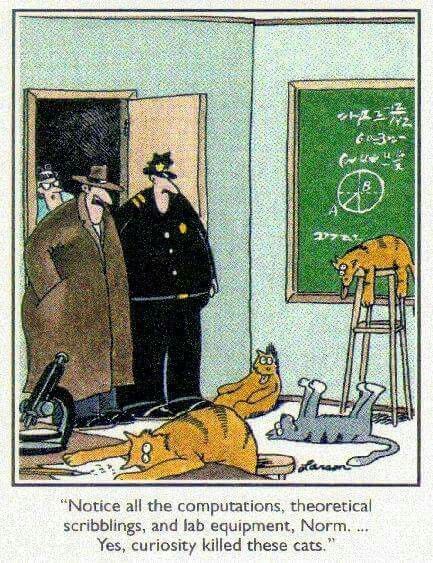 Comic strip several dead cats lying around a laboratory, with 3 police men, one saying "Notice all the computations, theoretical scribblings and lab equipment. Norm. .... Yes, curiosity killed these cats."