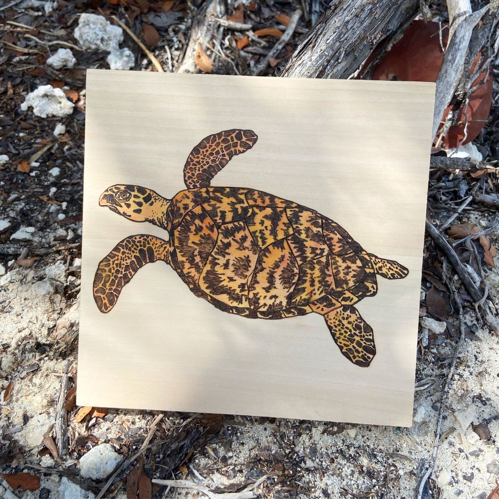 Wood burned and painted art of a Hawksbill sea turtle on a piece of wood sitting on a beach background 
