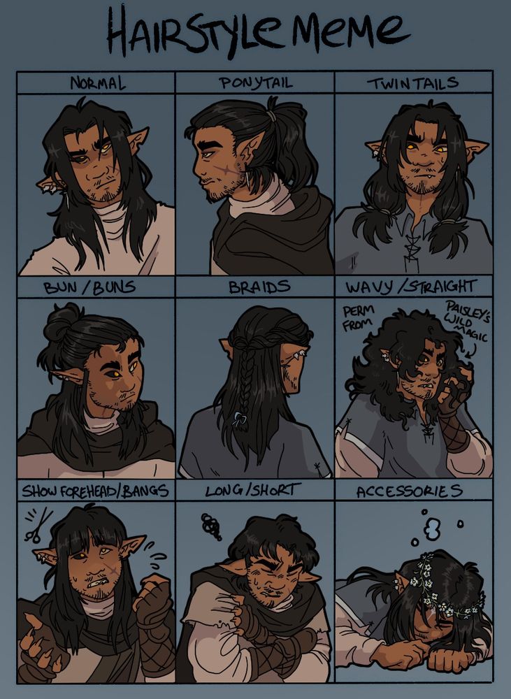 A grid of nine different drawings of hairstyles for the same character, a scruffy-looking, black-haired half-elf man, labeled at the top as "Hairstyle Meme". The hairstyles are "Normal", "Ponytail", "Twin Tails", "Bun", "Braids", "Wavy", "Bangs", "Short", and "Accessories". 