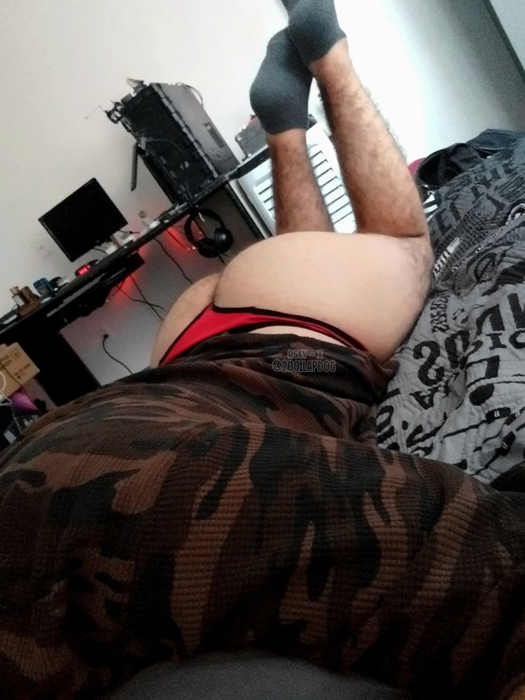 Cheeky dog guy posing ridiculously tight thong briefs on the bed ohh