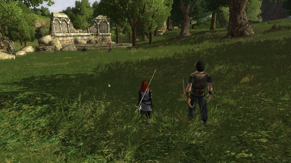 my companion and I spy brigands in a forested ruin