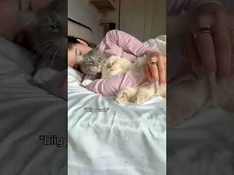 Cuddle time with a special guest today 🐱💖 #viral