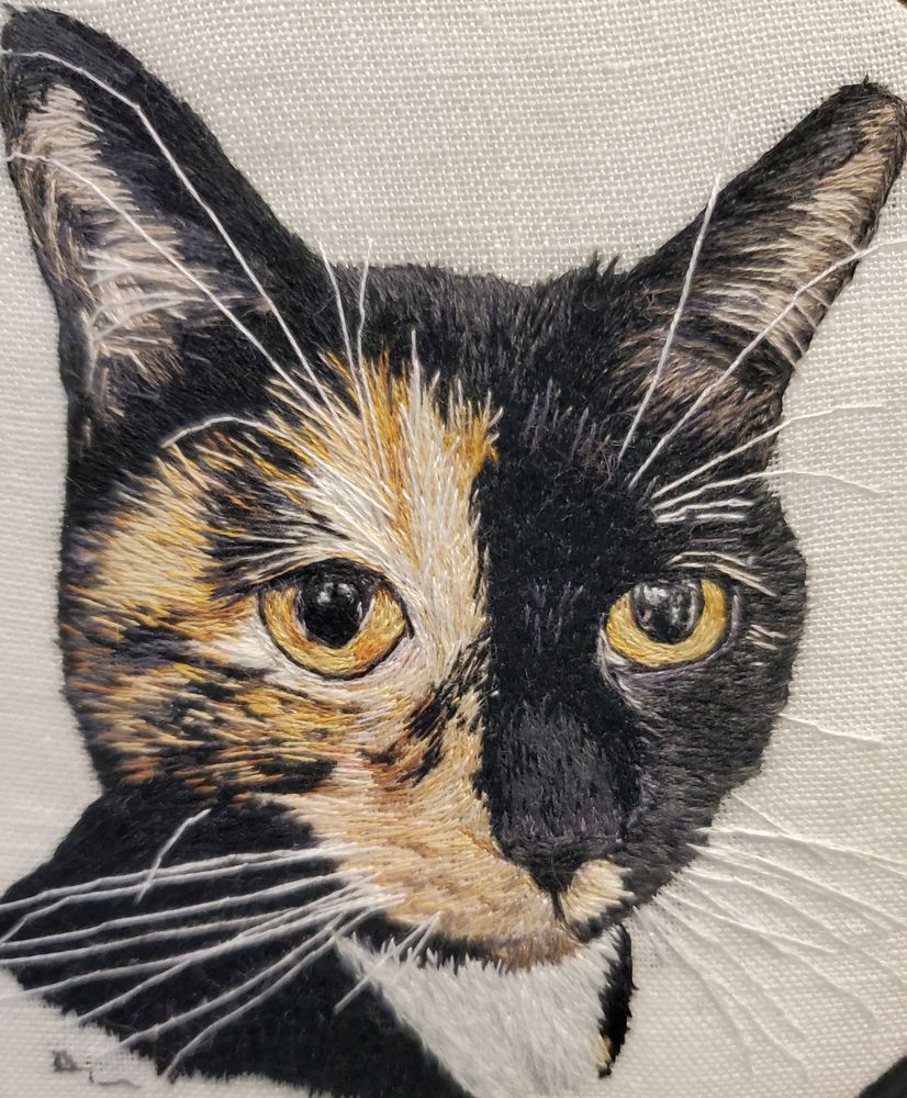 Embroidered thread painting of a black, tan, orange, and white tortoiseshell cat. She's stitched on white linen fabric with cotton embroidery floss. 