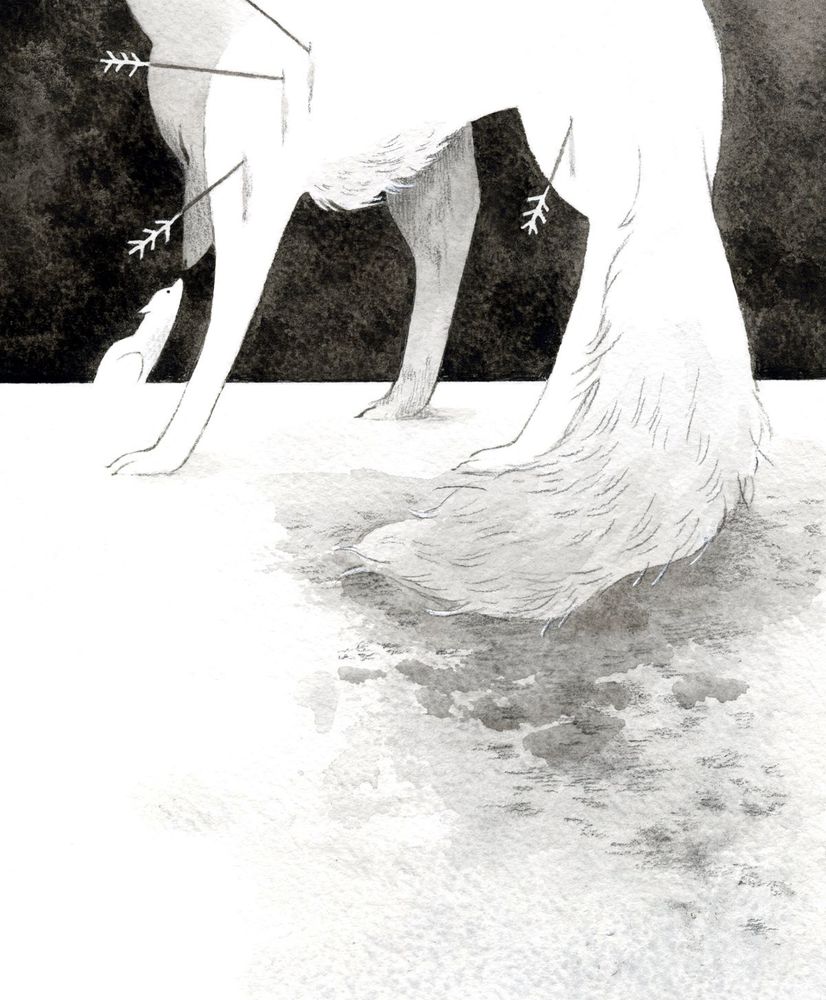watercolor and pencil illustration of two white wolves standing against a simple white and black background made to look like snow against a dark sky.  One wolf is large and shot with arrows, the other small and childlike.  The wolves are almost touching noses; the child looks up at the face of the injured wolf, not understanding.  The mood is somber and sad