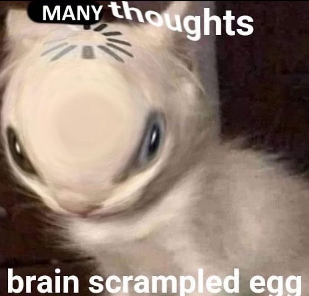 Ascendant in Virgo I (Mercury in Gemini)

Kitten with a processing symbol on their head, head is enlarged comically. Many thoughts, brain scrampled egg.