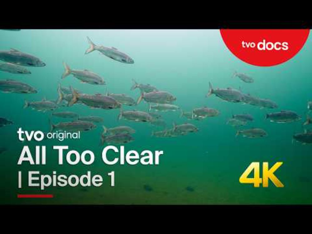 The Last Whitefish | Episode 1 | All Too Clear: Beneath the Surface of the Great Lakes |TVO Original