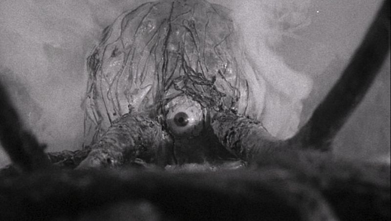 The Crawling Eye from the film of the same name!