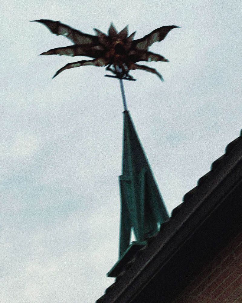 a photo of a church spire taken from the ground. something many legged and many winged has briefly perched there.