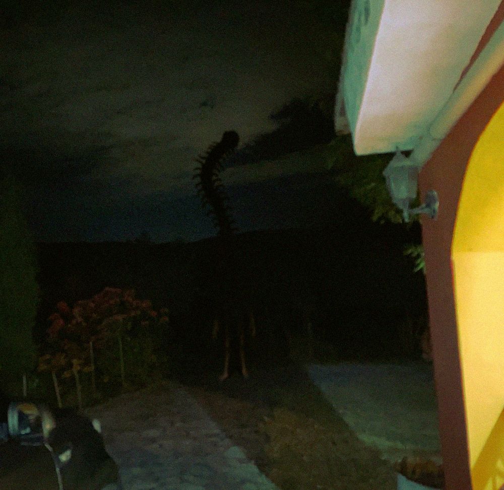 a photo of a yard, a figure approaches out of the darkness, his head on an inhumanly long neck in shadow, lined with centipede-like legs