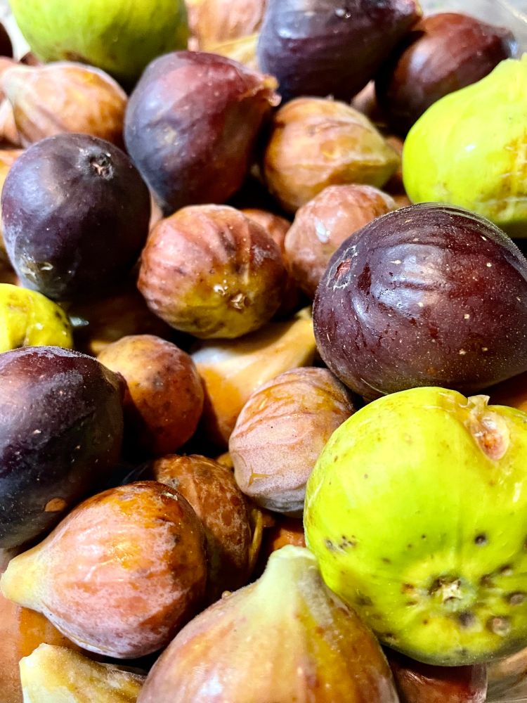 Close-up of brown, yellow, and purple figs from my trees.