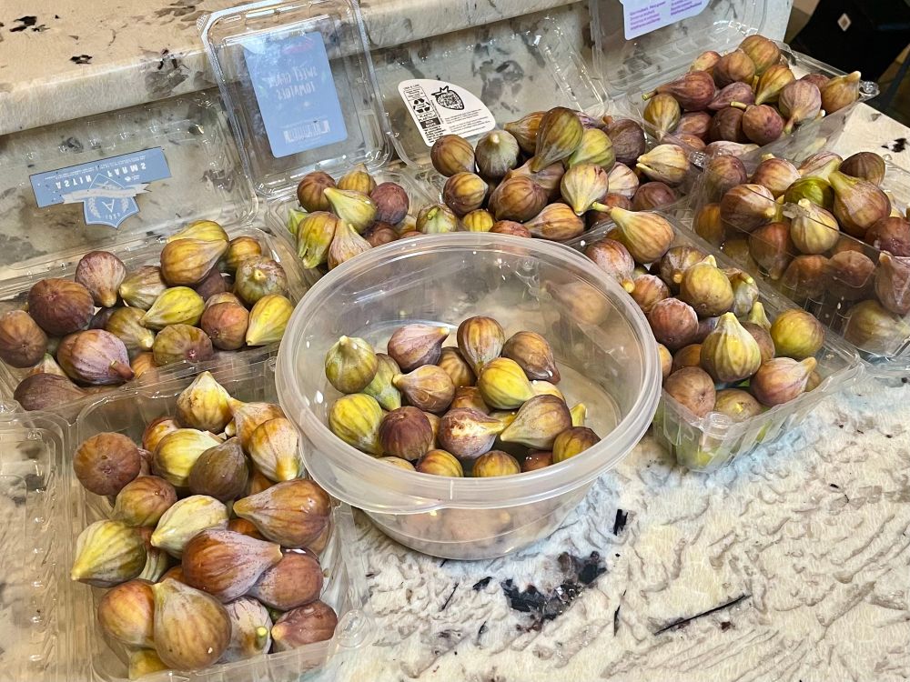 Containers of fresh figs that I picked from my trees this evening. Nearly 11 pounds.