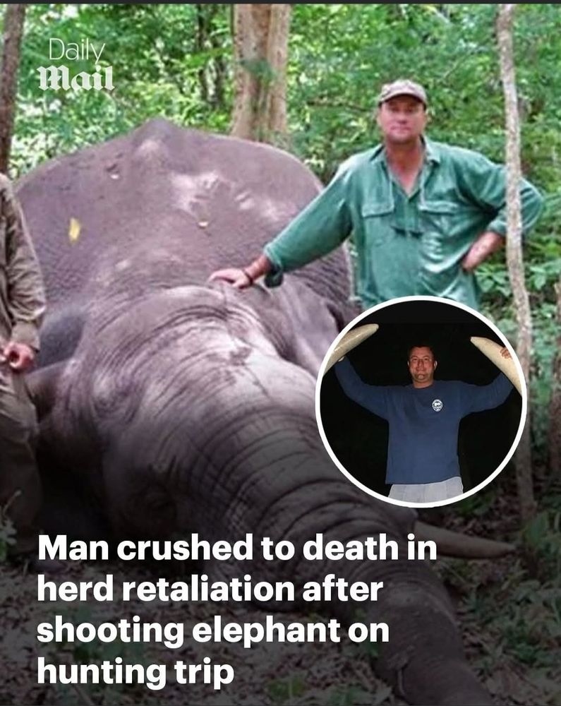 Picture of man next to dead elephant. Headline says man crushed to death in herd retaliation after shooting elephant on hunting trip