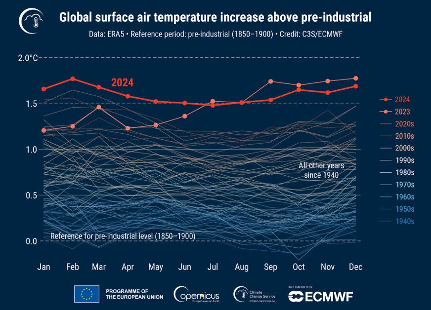Global sea surface temperatures up to 2024
