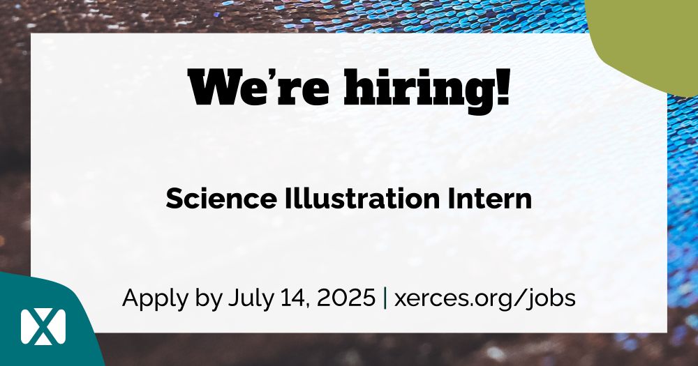 “We’re hiring! Science Illustration Intern. Apply by July 14, 2025”