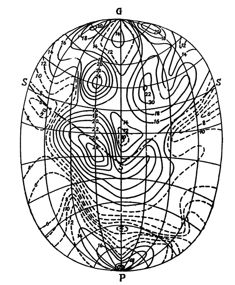 Black-and-white scientific illustration of the first EEG topoplot by Koiti Motokawa (1944). 
G = glabella
P = protuberantia occipitalis externa, 
S = central sulcus