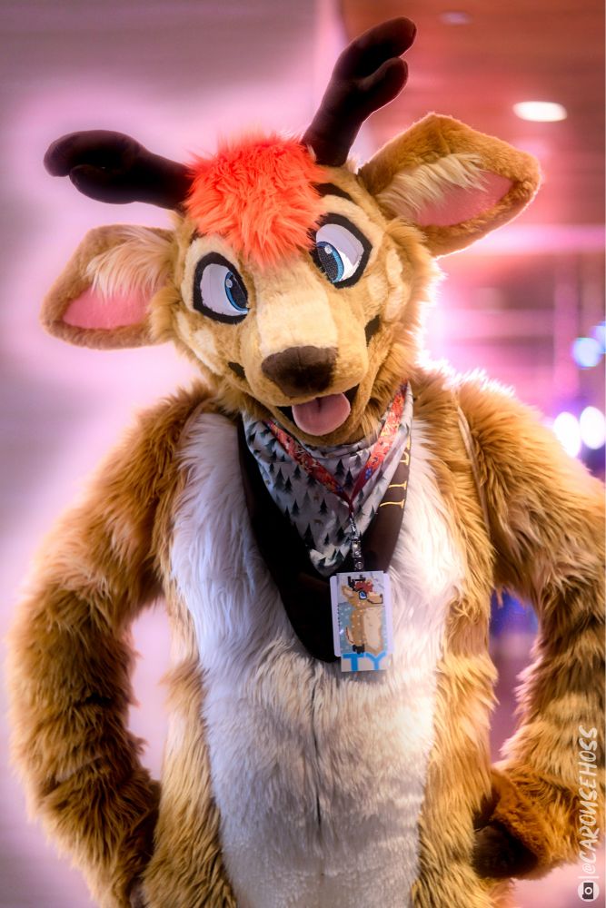 Fursuit photo of Ty at FC2024