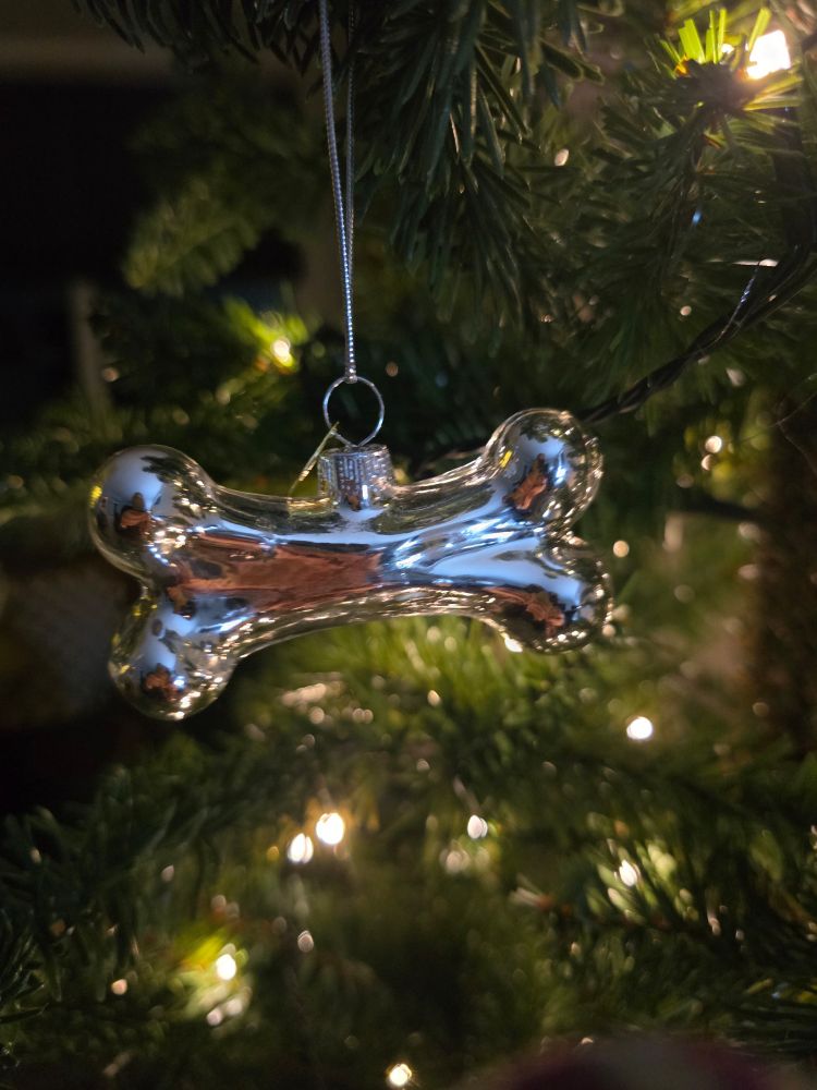 Kerst ornament, zilveren hondenbot, hangend in de kerstboom 