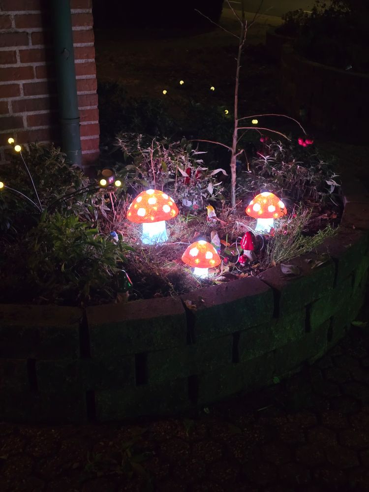 Nachtelijke tuinsetting met een verhoogde plantenbak, omrand door een gebogen stenen rand. In de bak staan decoratieve paddenstoelen met rood-witte hoeden die fel wit licht uitstralen vanuit hun stelen. Ze worden omringd door diverse planten. Kleine lichtpuntjes in de achtergrond versterken het magische effect