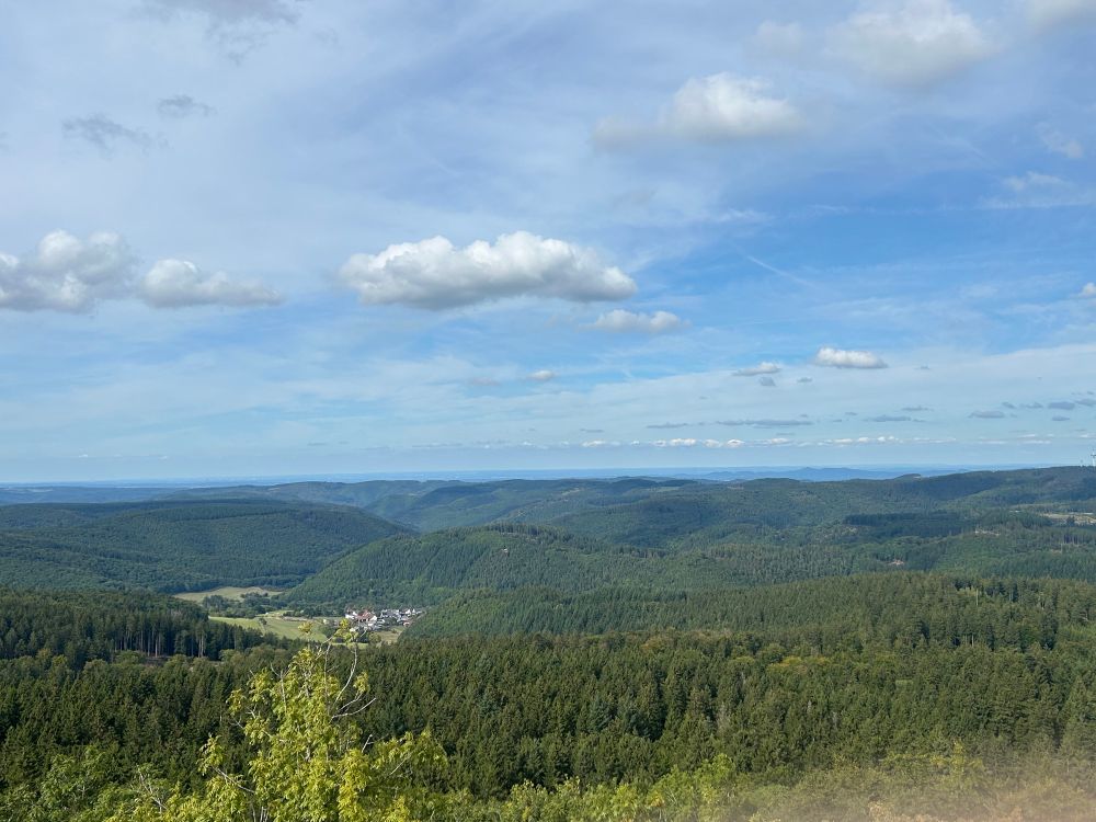Blick Richtung Bonn von der »hohen Acht«, unten viel Wald, mittig ein Dorf und dahinter mehr Wald, oben leicht bewölkter Himmel